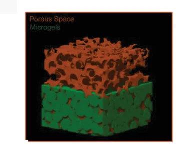 Open access visualization of 3D Plot, PALM, Microgels, Void Space, 3D Visualization