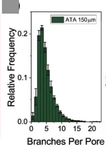 Open access visualization of Bar Plot, Error Bars, ATA, PALM, Void Space