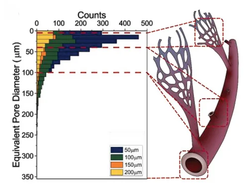 Open access visualization of Bar Plot, Illustration, Pore Size Distributions, PALM, ATA