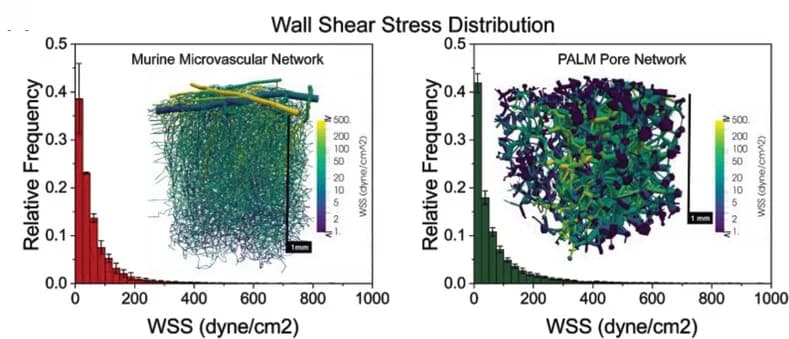 Open access visualization of Bar Plot, Error Bars, 3D Plot, Network, Wall Shear Stress