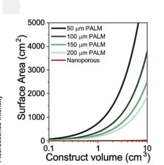 Open access visualization of Line Plot, Surface Area, Engineered Tissues, PALM, Building Blocks