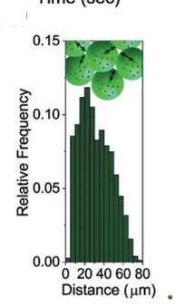 Open access visualization of Bar Plot, Cell Distance, Microgels, Pores