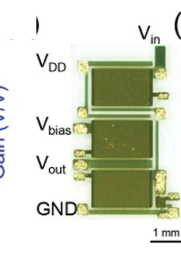 Open access visualization of Photo, Common-Source Amplifier, Source Follower, OTFT