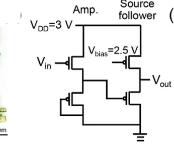 Open access visualization of Illustration, Common-Source Amplifier, Source Follower, OTFT, Circuit Diagram