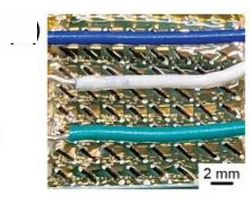 Open access visualization of Photo, Photograph