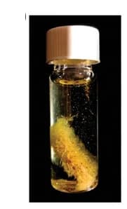 Open access visualization of Photo, Gold Crystal, AF Aerogel, Metal Mixture