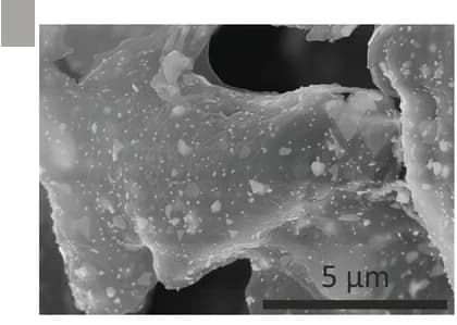 Open access visualization of Microscopy, SEM Image, AF Aerogel, Gold Crystals