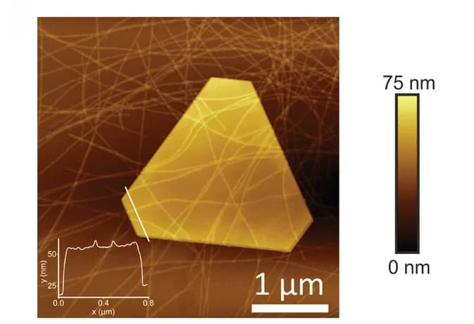 Open access visualization of Microscopy, Line Plot, AFM, Gold Microplates, AF Aerogel