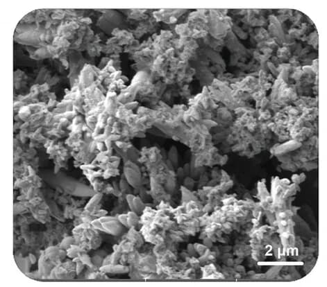 Open access visualization of Microscopy, SEM, Zinc Foil, Electrolyte, Caffeine