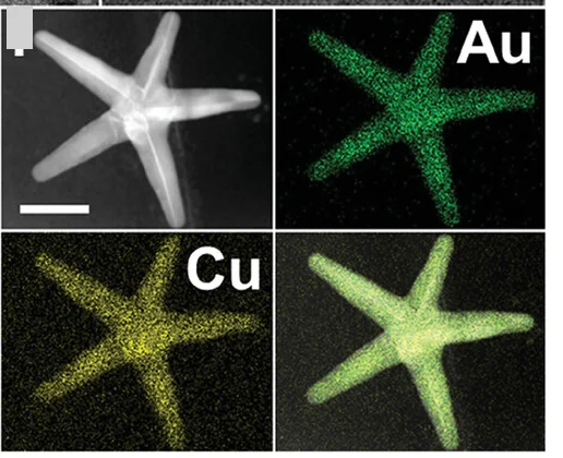 Open access visualization of Microscopy, STEM, EDXS, Elemental Mapping