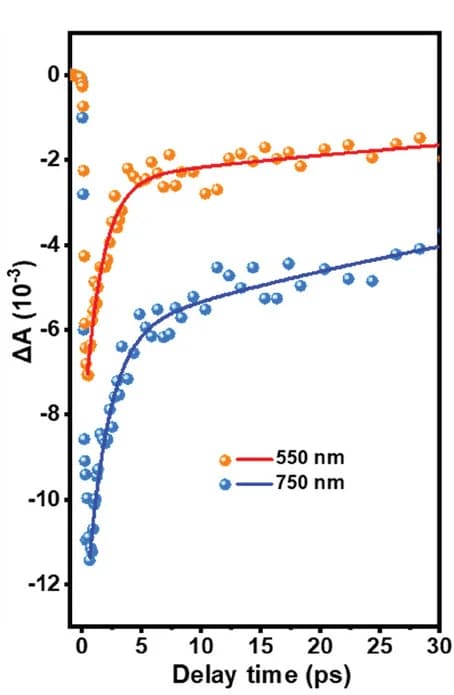 Open access visualization of Scatter Plot, Line Plot, Transient Kinetics, Decay Spectra, TAS