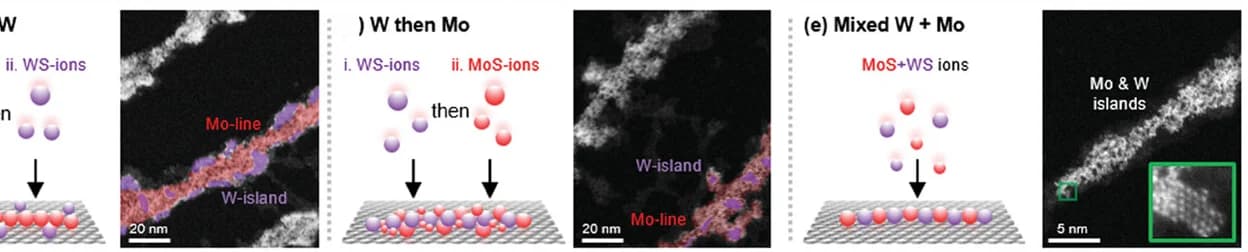 Open access visualization of Microscopy, Illustration, WS Core, MoS Shell, Core-Shell Heterostructures