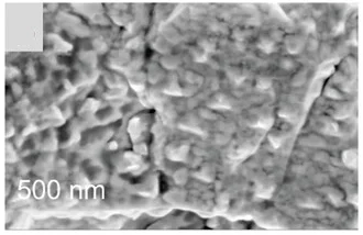 Open access visualization of Microscopy, SEM Images, Reaction Time