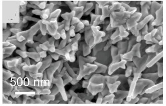 Open access visualization of Microscopy, SEM Image, Reaction Time, Cu Foil