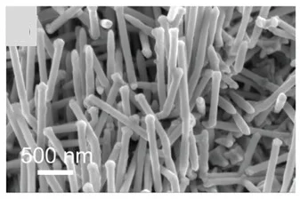 Open access visualization of Microscopy, SEM Image, Cu Foil