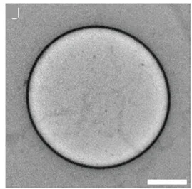 Open access visualization of Microscopy, TEM, Graphene, Silicon Nitride