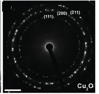 Open access visualization of Photo, SAED