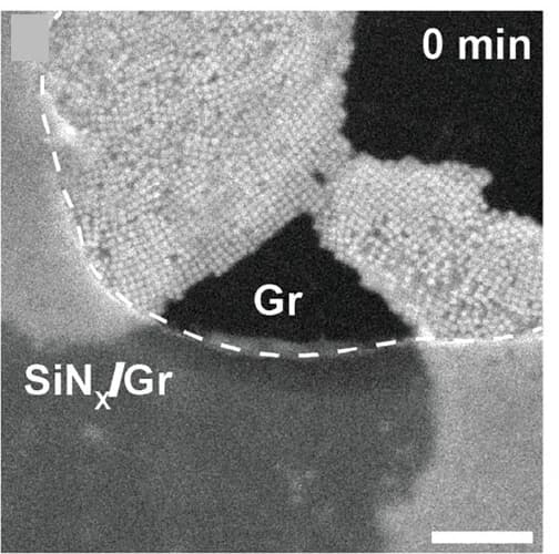 Open access visualization of Microscopy, SE Images, Copper Nanocrystals, Electrolyte, Dose Test