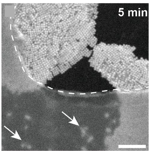 Open access visualization of Microscopy, SE Images, Copper Nanocrystals, Electrolyte, Dose Test