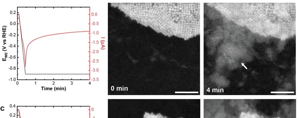 Open access visualization of Line Plot, Microscopy, LSV-CA, Electrochemical Analysis, Graphene