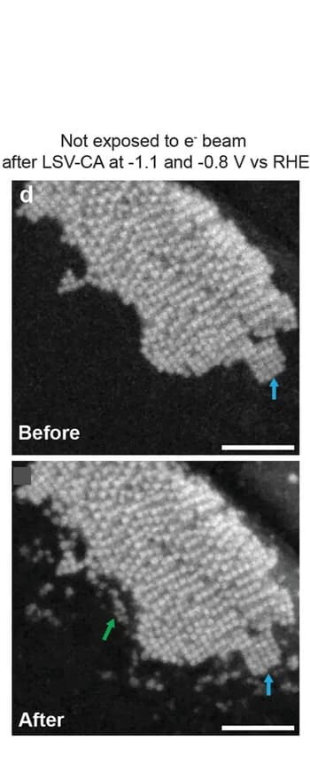 Open access visualization of Microscopy, SEM Images, LSV-CA, Electrochemical Analysis, Degradation