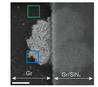 Open access visualization of Microscopy, SEM Image, Cu NCs