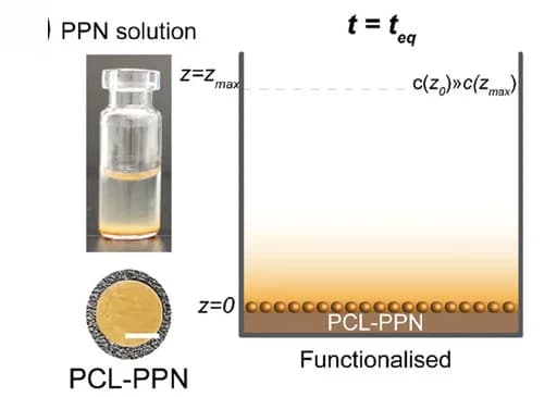 Open access visualization of Illustration, Electrospun PCL Substrates, Immobilization Process, PPN, Diffusion