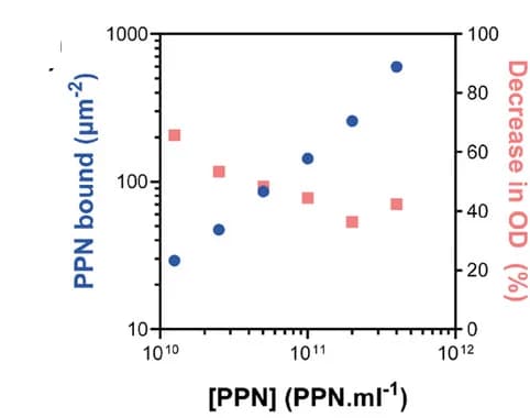 Open access visualization of Scatter Plot, Electrospun PCL Substrates, Immobilization Process, PPN, Concentration