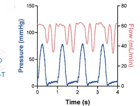 Open access visualization of Line Plot, Flow Profile, Pressure Profile, PCL Scaffold, Filter Membrane