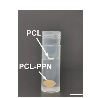 Open access visualization of Photo, PCL, PPN, Water, Functionalization