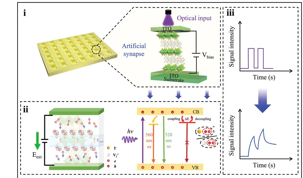 Open access visualization of Illustration, Line Plot, Artificial Visual System, Photodetector, ITO