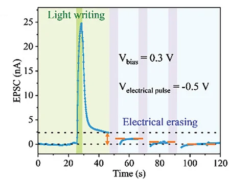 Open access visualization of Line Plot, Photonic Responses, Photodetector, Light Writing, Voltage Erasing