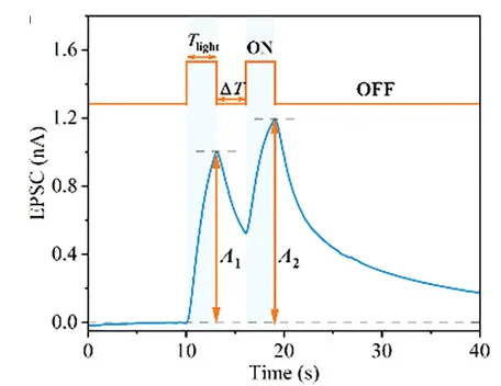 Open access visualization of Line Plot, PPF Behavior, Light Pulses