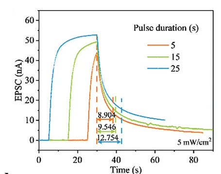 Open access visualization of Line Plot, STP, LTP, Tlight