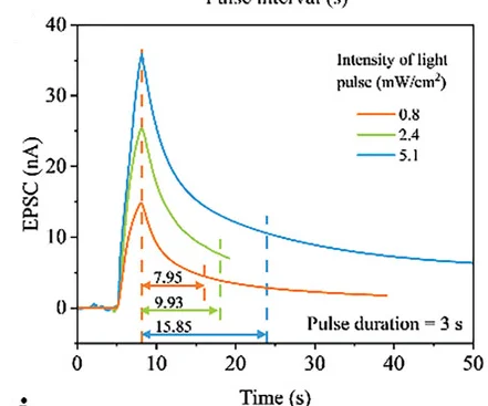 Open access visualization of Line Plot, STP, LTP, Plight