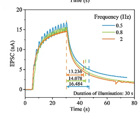 Open access visualization of Line Plot, STP, LTP, Frequency, Light Pulses