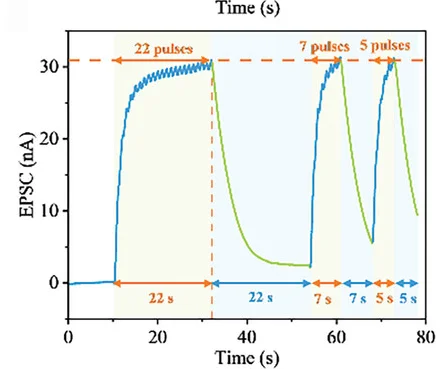 Open access visualization of Line Plot, Learning, Forgetting, Relearning, Light Pulses