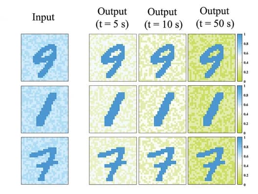 Open access visualization of Heatmap, Input Images, Output Images, Preprocessing Times