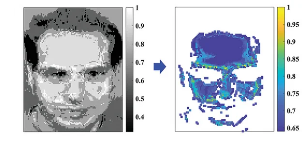 Open access visualization of Heatmap, Synaptic Array, Facial Recognition