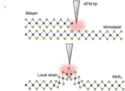 Open access visualization of Illustration, Chemical Structure, AFM Tip, 2D MoS2, Crystal Interfaces