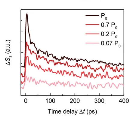 Open access visualization of Line Plot, Transient s-SNOM, Monolayer MoS2, Pump Intensities