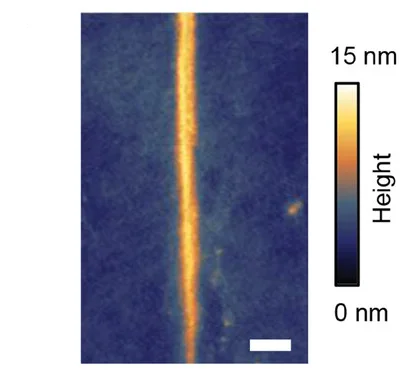 Open access visualization of Microscopy, AFM Topography, Monolayer MoS2, Nano-wrinkles