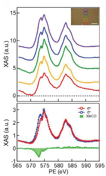 Open access visualization of Line Plot, Density Plot, Photo, XAS Spectra Mapping, CrTe2 Film