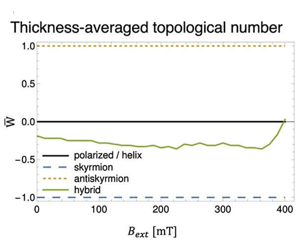 Open access visualization of Line Plot, Topological Number, Magnetic Field, Skyrmion Strings, Antiskyrmion Strings