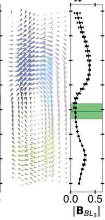 Open access visualization of Line Plot, Error Bars, yz-slices, Magnetic Field, Bloch Points