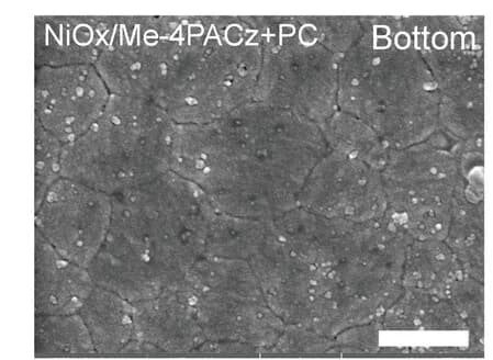Open access visualization of Microscopy, Perovskite Films, Transport Layers
