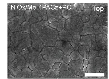 Open access visualization of Microscopy, Perovskite Films, Transport Layers