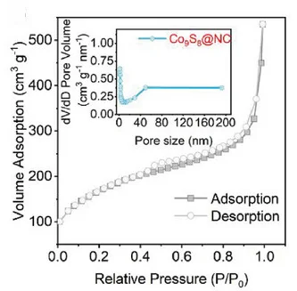 Open access visualization of Line Plot, N2 Adsorption-Desorption Isotherms, Co9S8@NC, Pore-Size Distribution