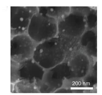 Open access visualization of Microscopy, SEM Image, Co9S8, NC Framework