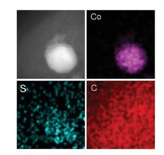 Open access visualization of Microscopy, EDX Mapping, Co, S, C